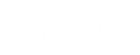 BEL Valves